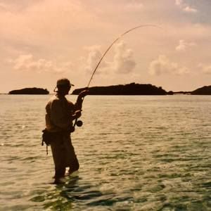 Meet your Posher, Joyle